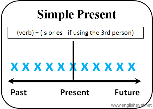 Present Simple المضارع البسيط