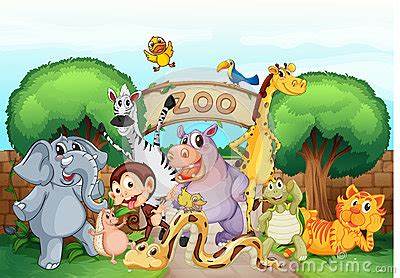 zoo animals