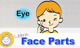 parts of the face word wall activity